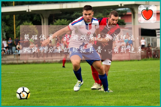 熊猫体育：这游戏角色养成玩法，大佬们分享的经验真香，萌新速来！