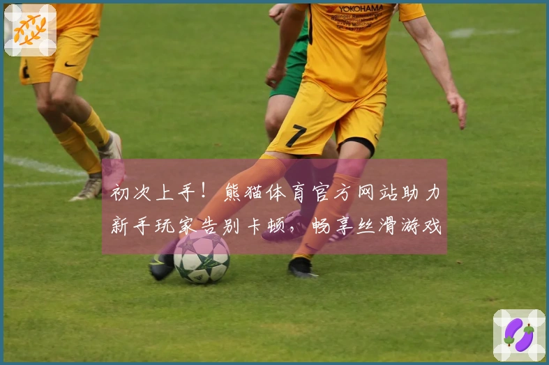 初次上手！熊猫体育官方网站助力新手玩家告别卡顿，畅享丝滑游戏体验的秘密武器