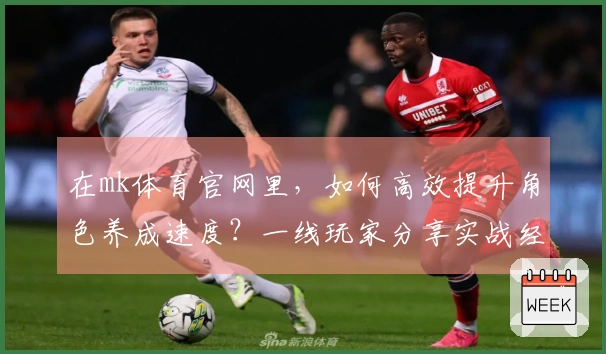 在mk体育官网里，如何高效提升角色养成速度？一线玩家分享实战经验
